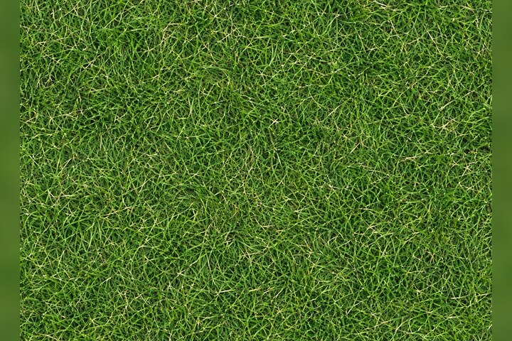 Grass seamless tileable material preview