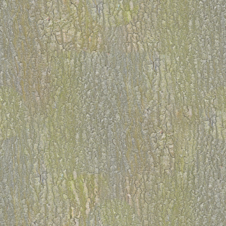 Pale Lichen Bark texture