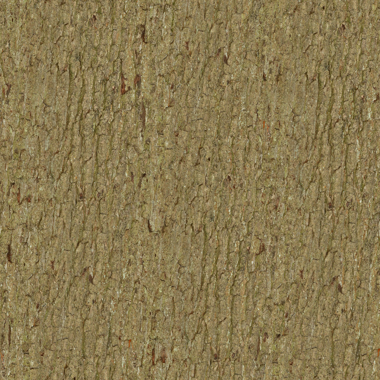 Deeply Fissured Oak Bark texture