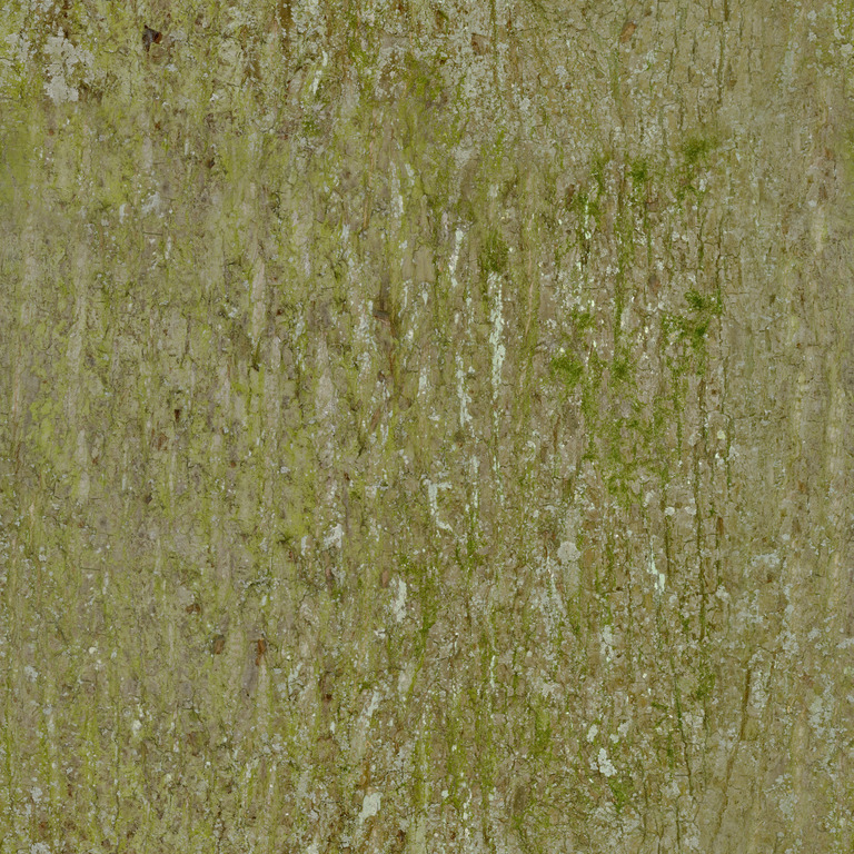 Green-Streaked Bark texture