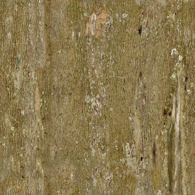 Pale Striated Bark texture
