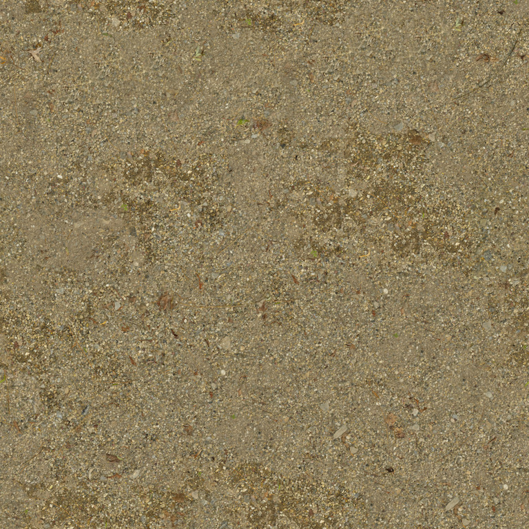 Sandy Gravel with Twigs texture