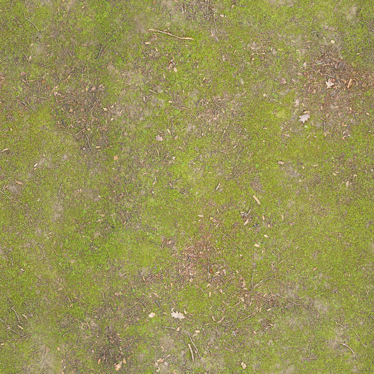 Mossy Woodland Ground texture
