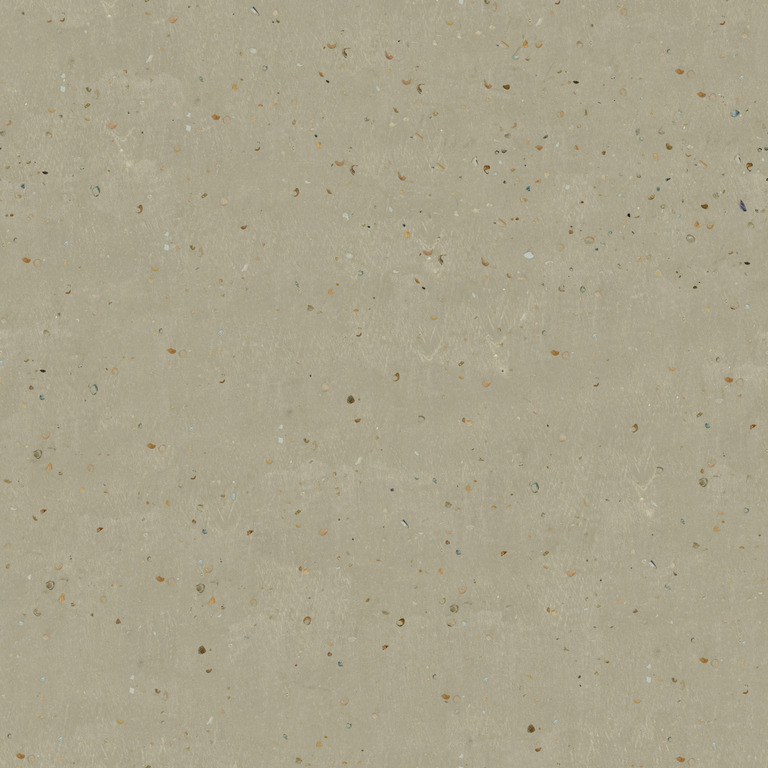 Sand with Shell Fragments texture