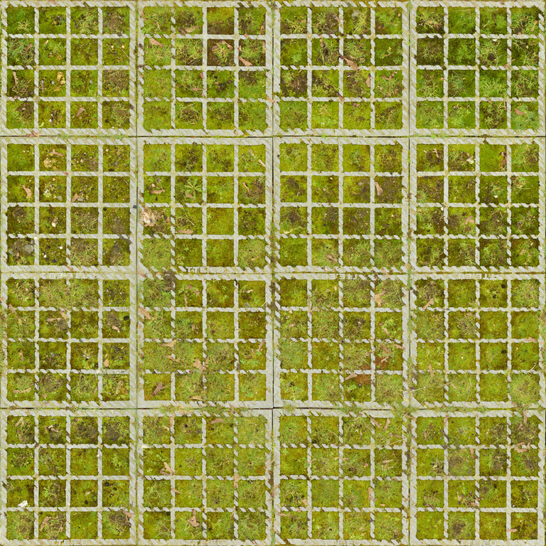 Grass Reinforcement Grid texture