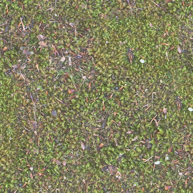 Moss with Woodland Debris texture