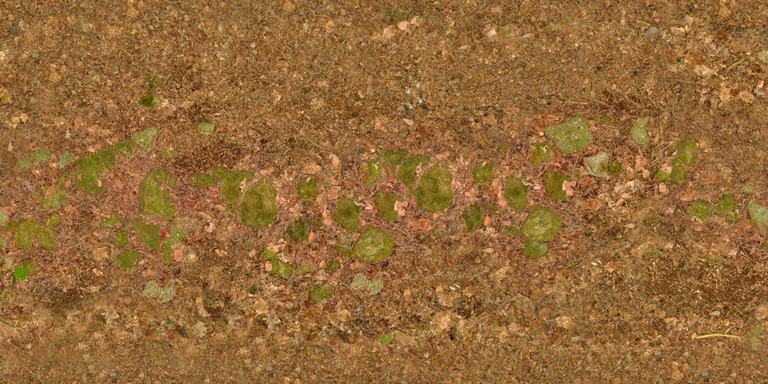 Mossy Gravel Path texture