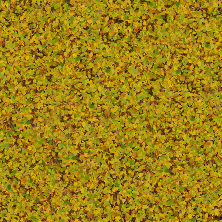 Yellow Fallen Leaves texture