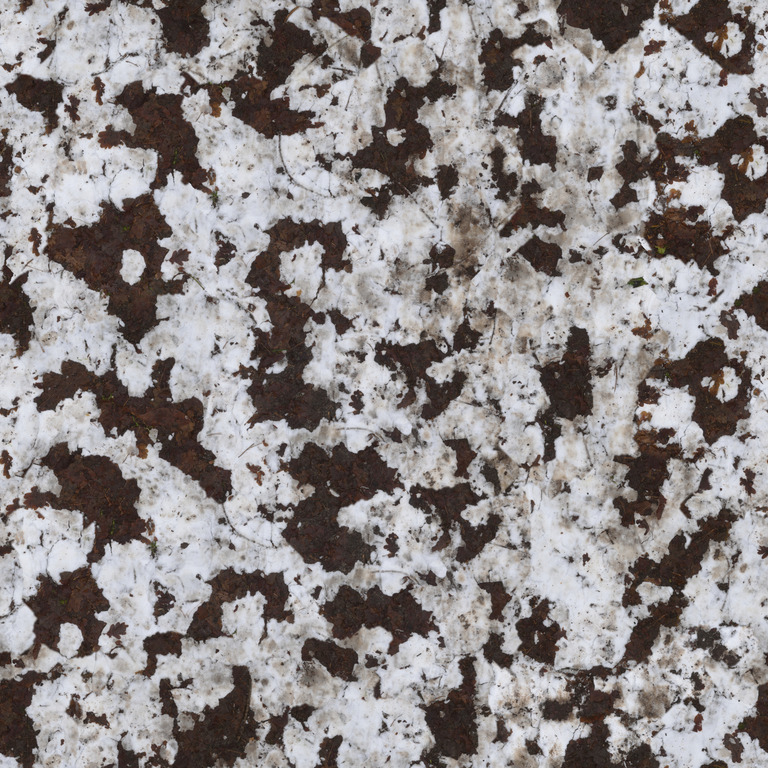 Snow over Muddy Ground texture