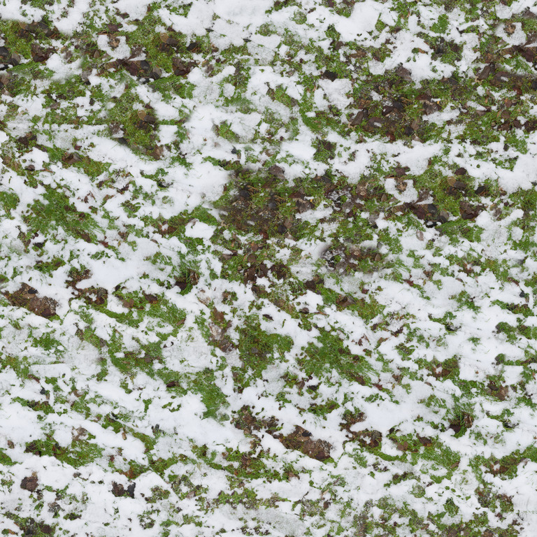 Patchy Snow over Grass texture
