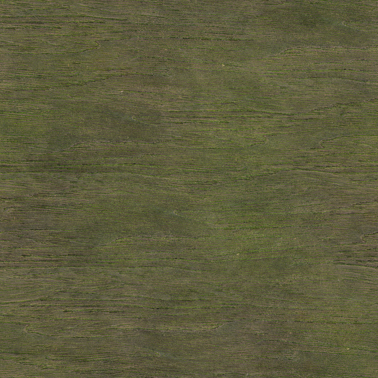 Mossy Rough Wood texture